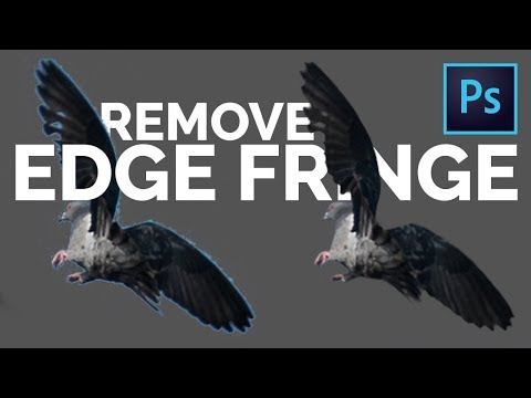 2 Easy Tricks to Remove White Edges or Fringes from Cut-Outs in Photoshop