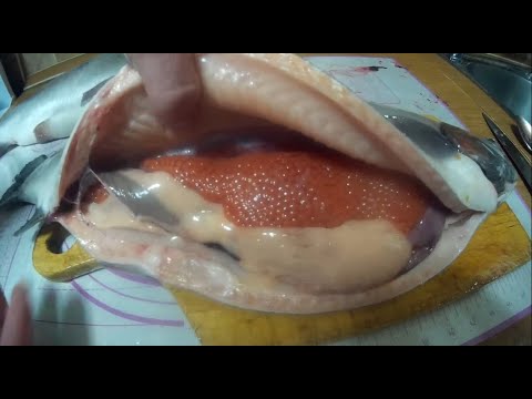 Как определить форель с ИКРОЙ 100%