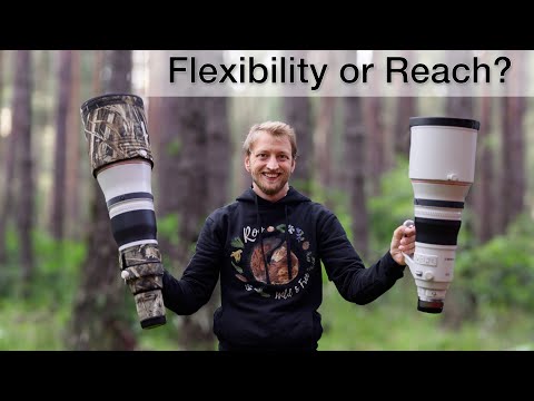 400mm f/2.8 or 600mm f/4 - Which is the right super telephoto lens for you?