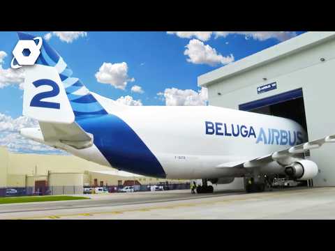 The Plane That Carries Planes: Inside the Airbus Beluga