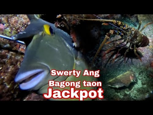 Ep 657 dive 2 swerty Ang pag palit Ng taon night spearfishing Philippines