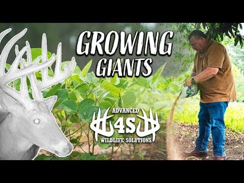 Management Practices To Grow GIANT BUCKS | Farm Day with 4S Wildlife