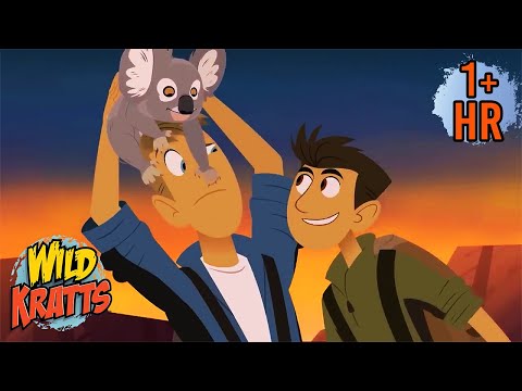 Koalas & Kangaroos 🐨🦘 | Wild Kratts Animal Adventures for Kids | Scholastic Kids
