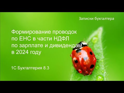 Formation of transactions for the Unified Tax System in terms of personal income tax on salaries ...