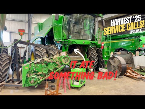 It Ate Something BAD… 💥 Shop Carnage + Harvest Fixes!