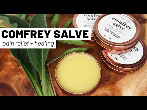 Making comfrey salve for pain relief (also some fresh Concord grape juice) // GroundedHavenHomestead