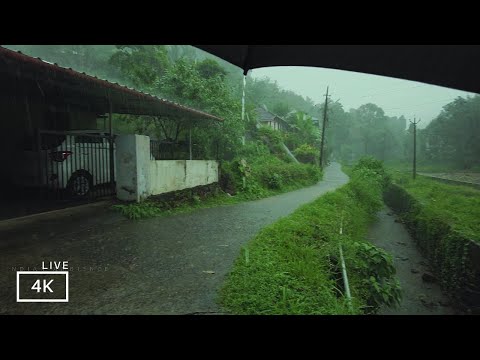 Rainy Day Walking Tour in a Village| ASMR Rain Walks Compilation for Meditation and Instant Sleep