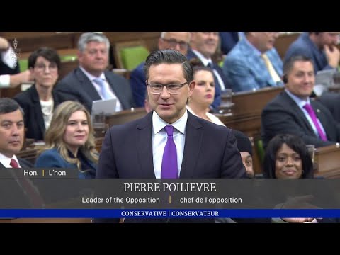 Poilievre and Trudeau mock each other over lack of non-political experience