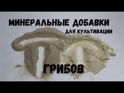 Минеральные добавки для выращивания Грибов - Гипс - Известь
