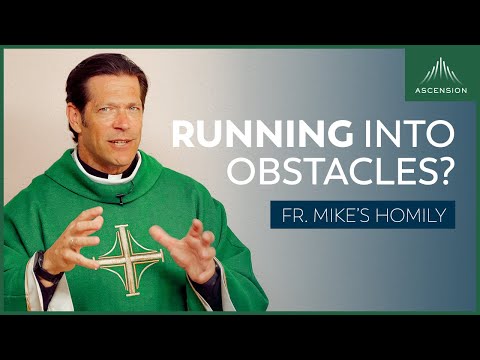 Running Into Obstacles | Fifteenth Sunday in Ordinary Time (Fr. Mike's Homily) #sundayhomily