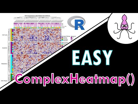 EASY Heatmaps with ComplexHeatmap() in R