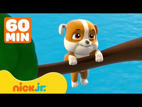Baby Rubble Joins PAW Patrol & Gets Stuck in a Tree! | 1 Hour | Rubble & Crew