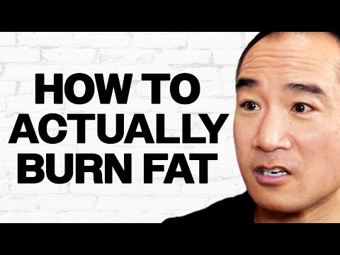 Step-by-Step Guide for LOSING Fat In The Most Efficient Way Possible | Alan Aragon