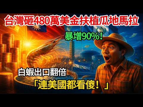 暴增90%!台灣砸480萬美金「造富術」震撼中美洲 瓜地馬拉變身白蝦新貴 連美國都看傻!