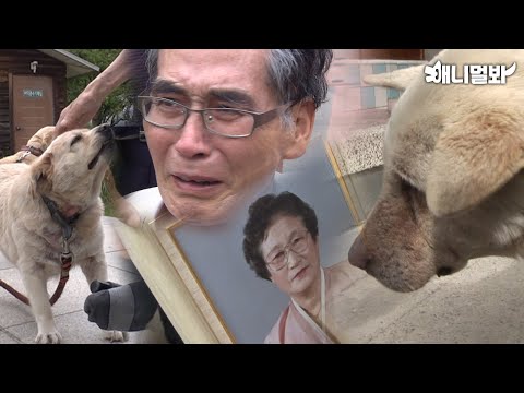 Sad Stories That Made The Whole Production Crew Cry…😿