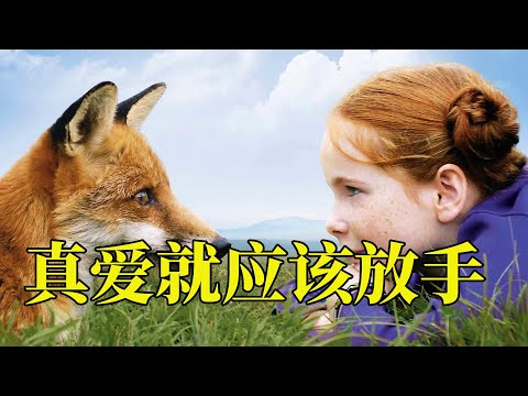 爱是驯养还是放手,狐狸与小女孩的故事,每一帧都值得珍藏,20分钟看完2007年儿童治愈电影《狐狸与我》