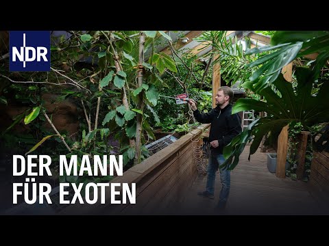 Seelter Reptilienhuus: Zu Hause für Krokodil & Co.| Die Nordreportage | NDR Doku