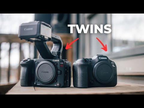 Canon C50 vs R6iii... Are they actually different ?