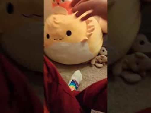 Caring for Things ASMR