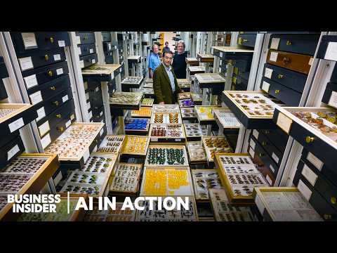 Why The Smithsonian Stores 148 Million Specimens | AI in Action | Business Insider