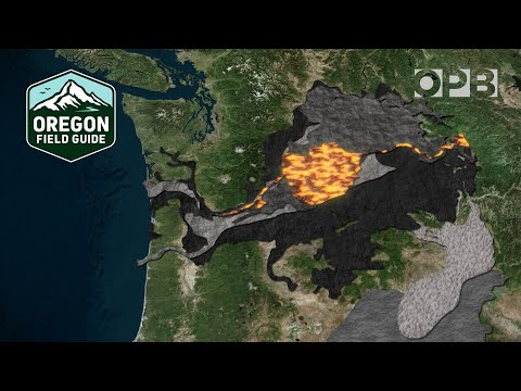 'Nick On the Rocks' star tours the Ginkgo Flow | Oregon Field Guide