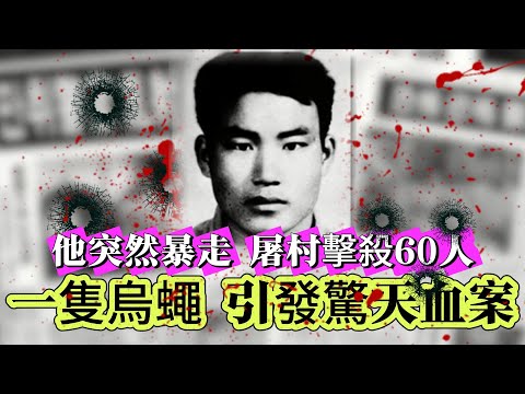 【真實案件】| 一隻烏蠅引發的驚天血案!他突然暴走,連續屠村擊殺60餘人!#案件 #案件解說 #真實故事 #criminal #刑事案件