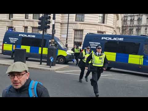 TSG POLICE STORM HORSE GUARDS SECURITY ALERT #thekingsguard
