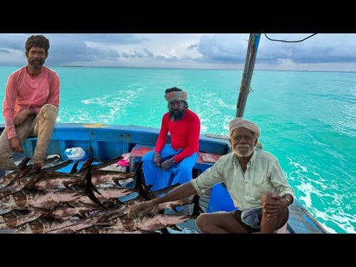 Fourth Day Final Day 💢❗We Return to Shore We get 💰💰💰