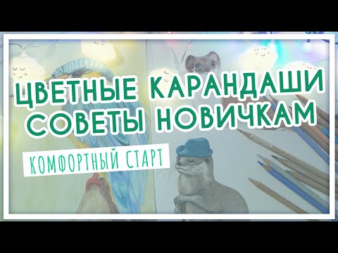 Цветные карандаши. Советы и лайфхаки новичкам. Как начать рисовать?