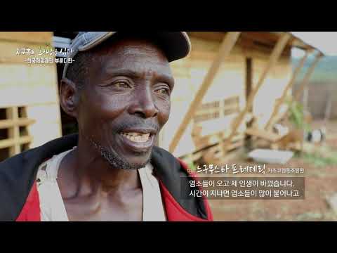 특집다큐 지구촌에 희망을 심다 한국희망재단 부룬디 편