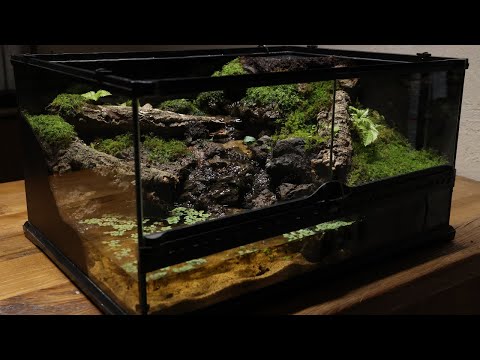 A Valley Somewhere In The Mountains Paludarium | 산 속 어딘가의 계곡 팔루다리움