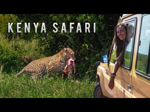 You Won’t Believe What Happened on our Kenya Safari (Masai Mara)