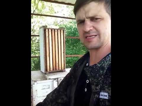 6 рамочный улей , преимущество √5