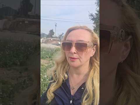 Alphabet streets in Pacific Palisades, Southern California. what is it like 1 year after the fires?