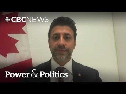 Canada beefing up export infrastructure to grow 'capacity': trade minister | Power & Politics