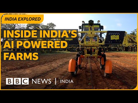 Can artificial intelligence help make farming profitable in India? | BBC News India