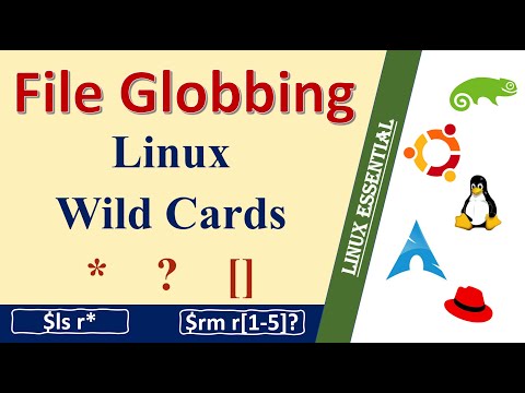 Master Linux Wildcards: Uncover the Secret of File Globbing in Linux!