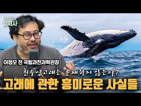 🐳고래는 원래 네 발 달린 동물이었다