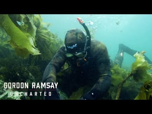 Gordon Ramsay Gets The Catch Of The Day | Gordon Ramsay: Uncharted