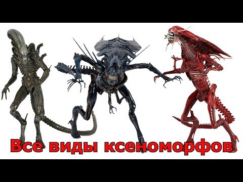 Comparison of all types of Xenomorphs (Aliens)