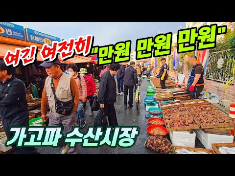 이렇게 싱싱한걸 이 가격에 판다고? 그것도 국내산을~ 일단 한번 보면 분명이 가고파 질겁니다.