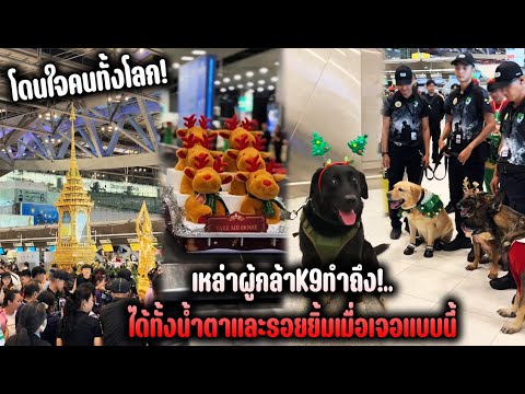 Heartwarming stories from around the world! These K9 heroes did an amazing job! It brought both t...