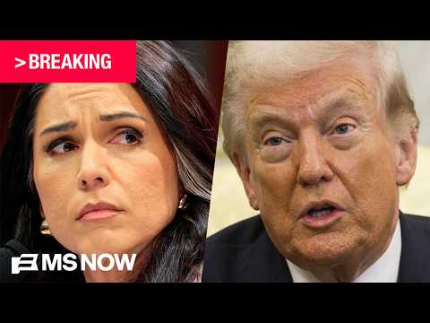 BREAKING: Gabbard refers Trump impeachment whistleblower for possible prosecution