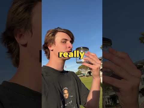 I Gave a Fly the Best Day EVER