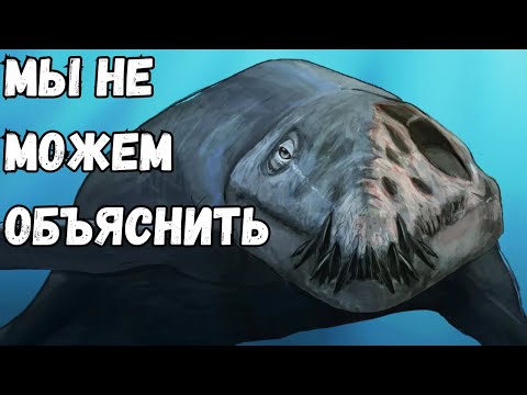 Доисторические Животные, Сохранившиеся Так Хорошо, Что Выглядят Будто Умерли Вчера