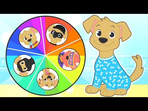 BABY PETS 🐱🍼 A day with the puppy Max 🐾 Care, change of look, Go to the doctor and much more