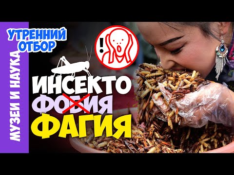 Съедобные насекомые. Есть или не есть? Игорь Фадеев