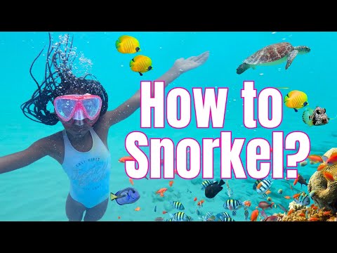 SNORKELING Tips for First-Timers / Families with Kids!