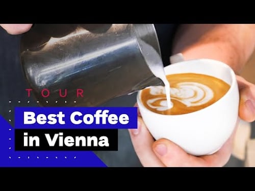 Best Coffee Shops in Vienna ☕️ 🇦🇹 (The Specialty Coffee Guide To Vienna)