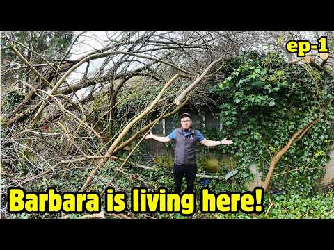 MADNESS! Trees Cut Down.. Rested On Her ROOF! *Helping Barbara Ep1*